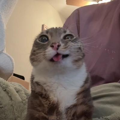 kat's avatar